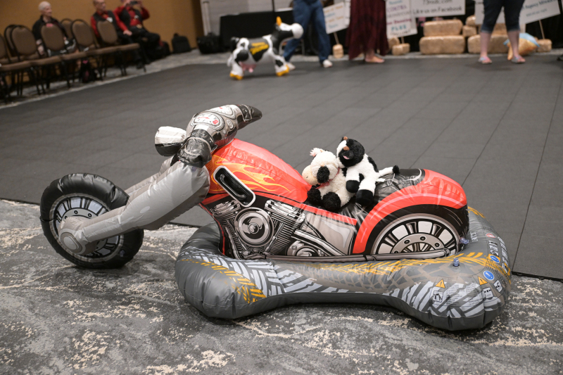 20230812_6682 20230812_6682