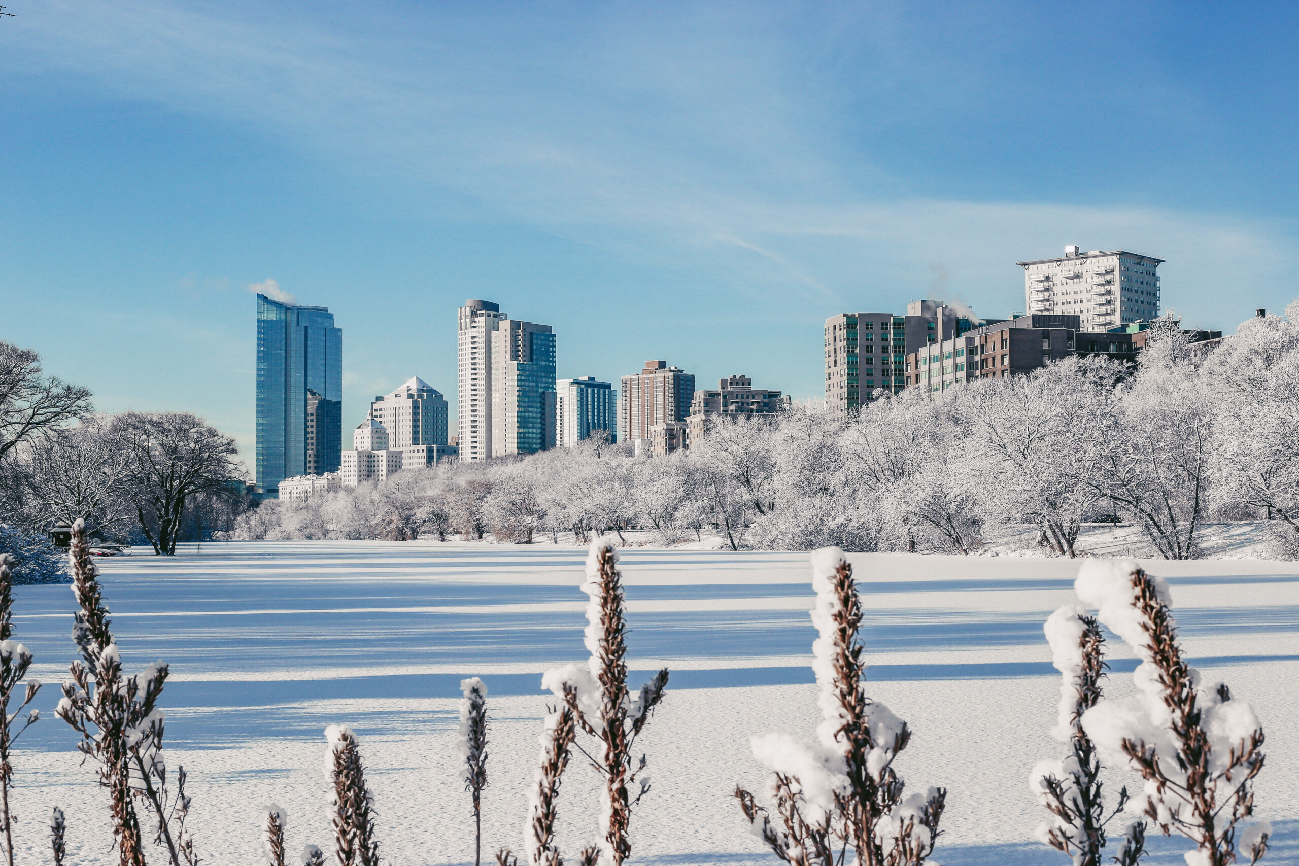 VM-Winter-Veterans Park